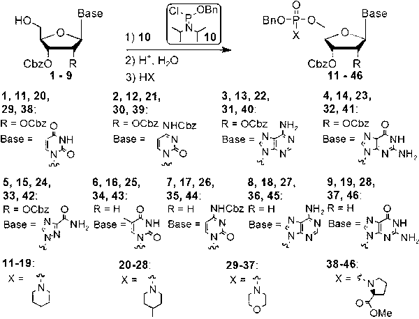 Method for synthesizing nucleoside triphosphate and nucleoside diphosphate from all-protected nucleoside phosphoramidite intermediate through acid catalysis