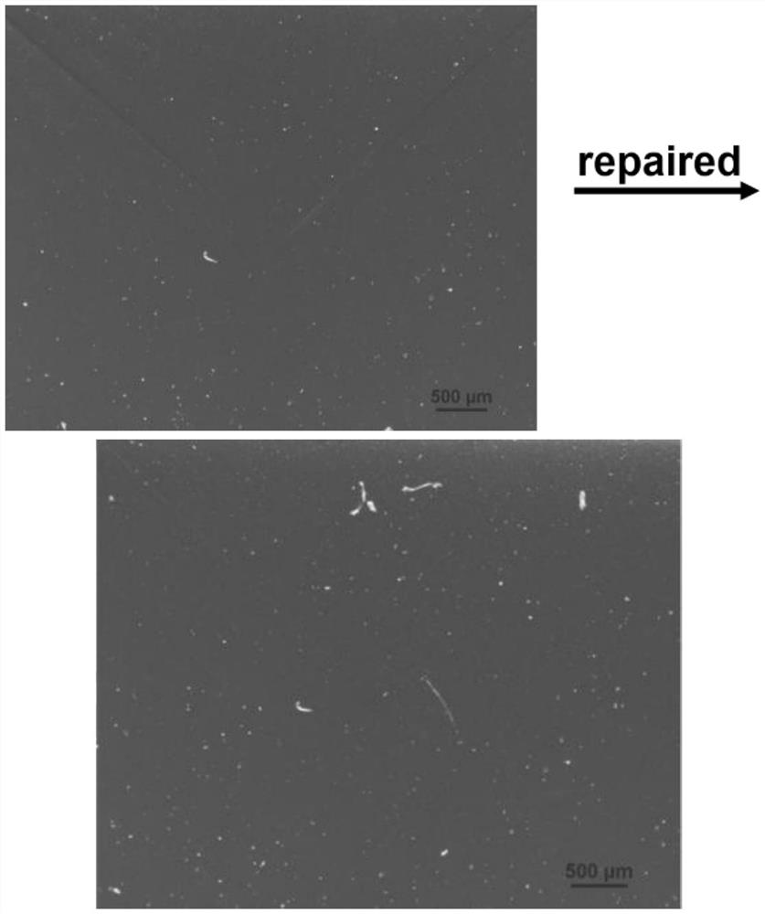 A kind of conductive silicone elastomer based on mxene and its preparation method and application