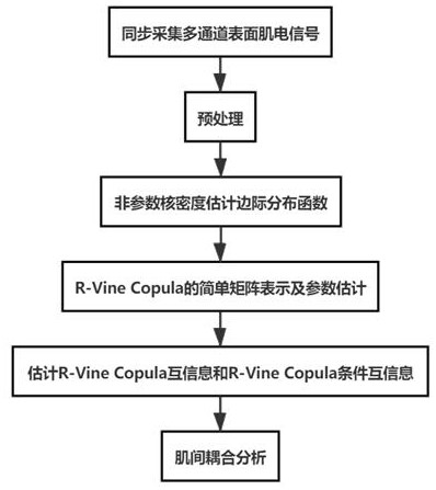 Intermuscular coupling analysis method for R vine Copula mutual information
