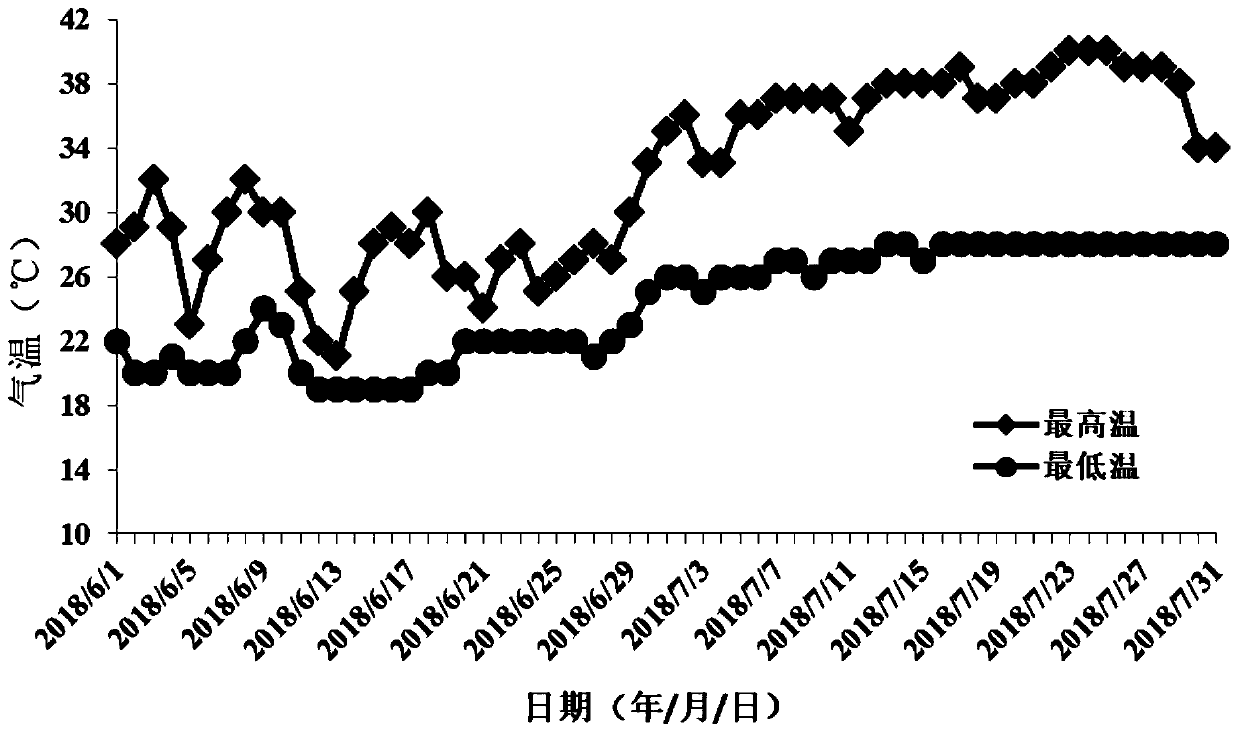 High-temperature-resistant rice plant growth regulator and using method and application thereof