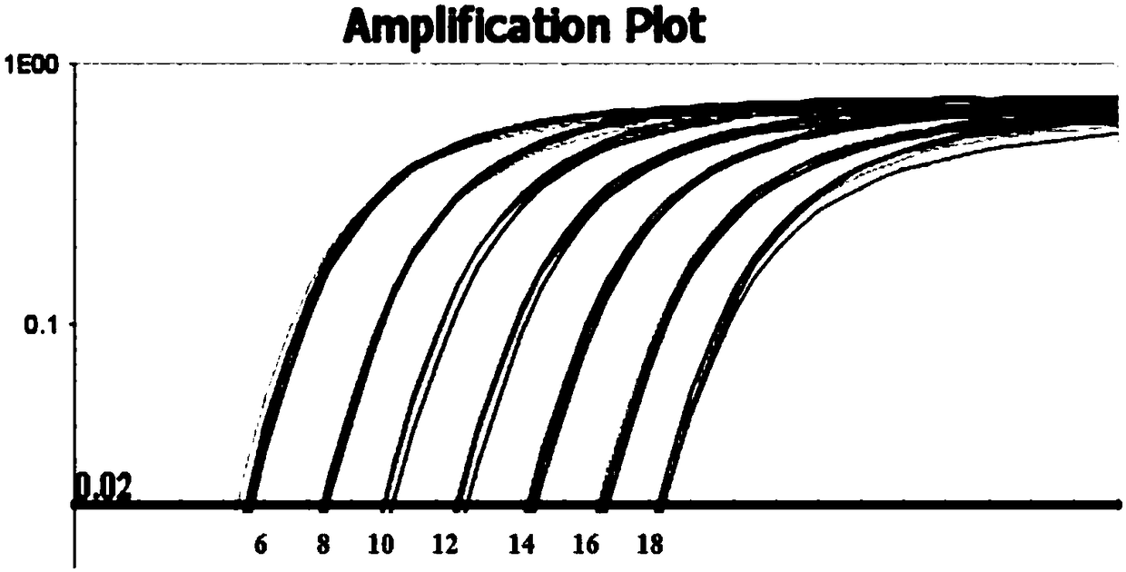 Probe primer group for rapid differential diagnosis of APMV (avian paramyxovirus)-1 and APMV-4, kit and detection method