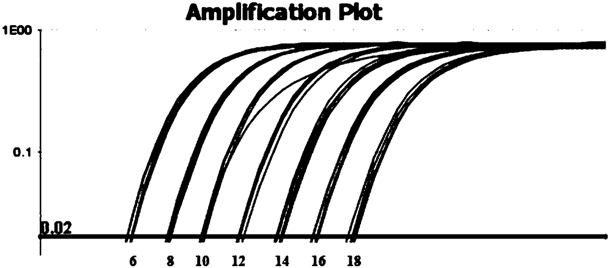 Probe primer group for rapid differential diagnosis of APMV (avian paramyxovirus)-1 and APMV-4, kit and detection method