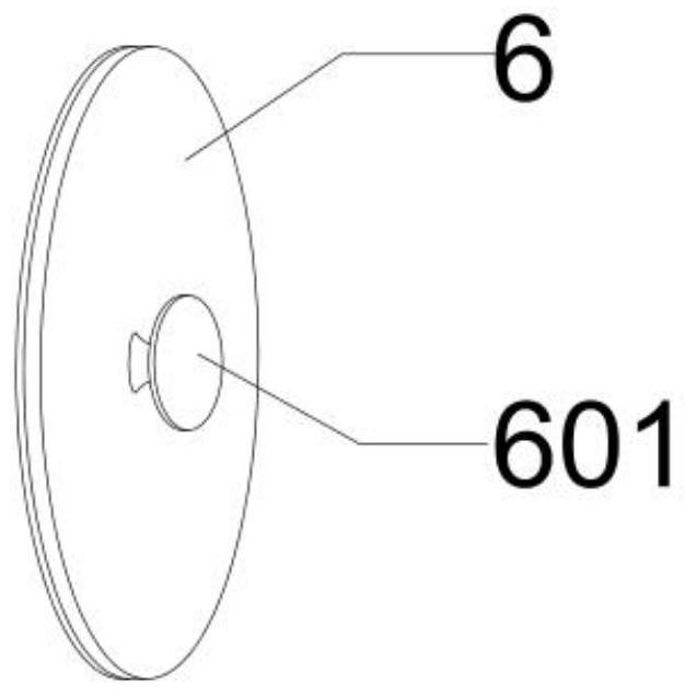 Percutaneous nerve electrical stimulator for treating alopecia seborrhoeica