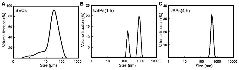 Preparation method of sporopollen-based copper preparation pesticide carrier