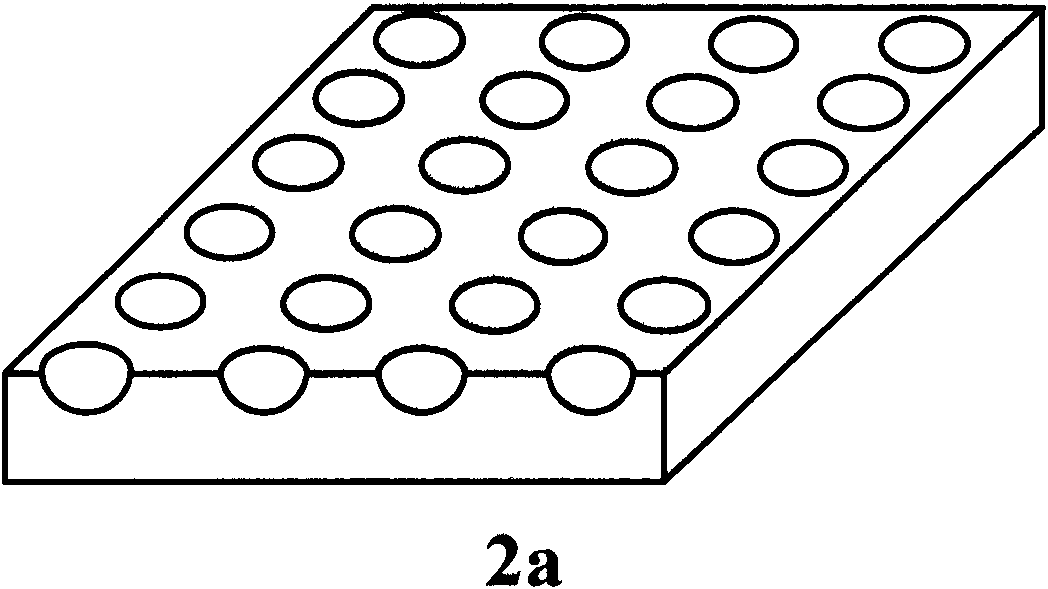 Solar cell having double-sided micro/nano composite structure and preparation method thereof