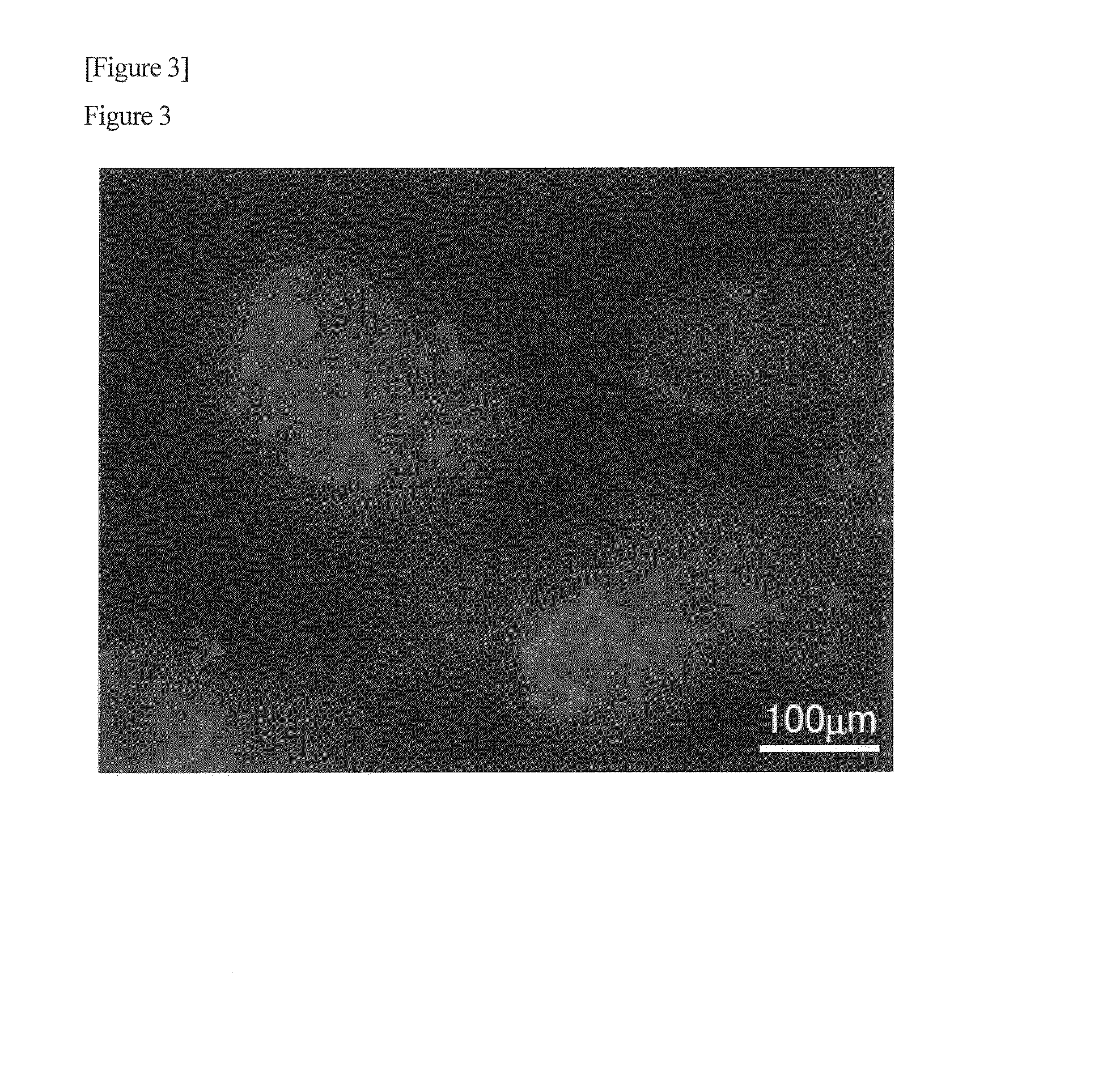 Method for producing pluripotent cell using bacterium having fermentation ability