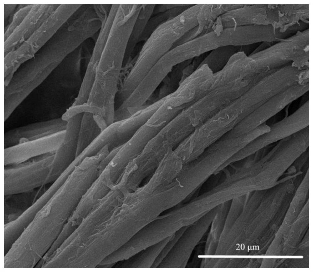 Preparation method of modified collagen fiber material capable of efficiently capturing iodine vapor