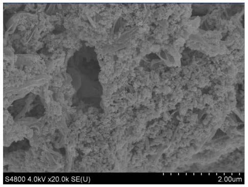 A kind of superhydrophilic polymer microporous membrane and its manufacturing method