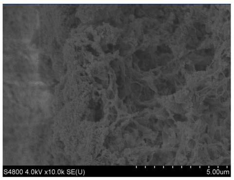 A kind of superhydrophilic polymer microporous membrane and its manufacturing method