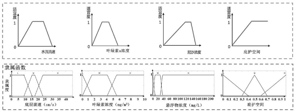 Method for optimizing layout of artificial fish reef based on biological suitability