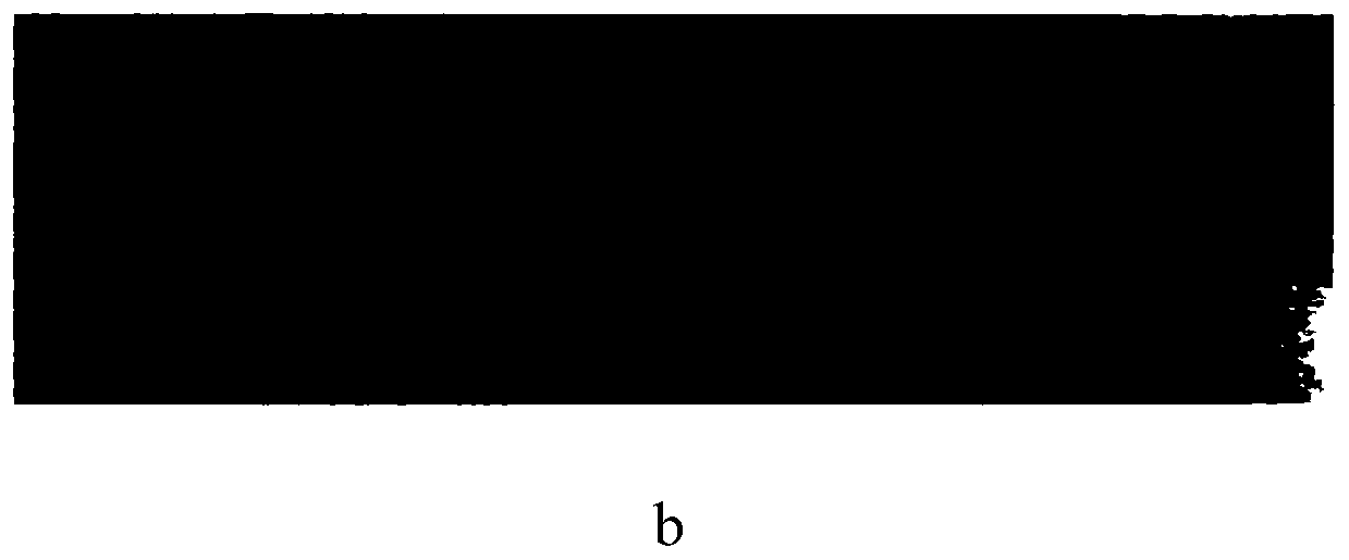 A Research System for Liquid Photo-induced Breakdown and Cavitation Effect