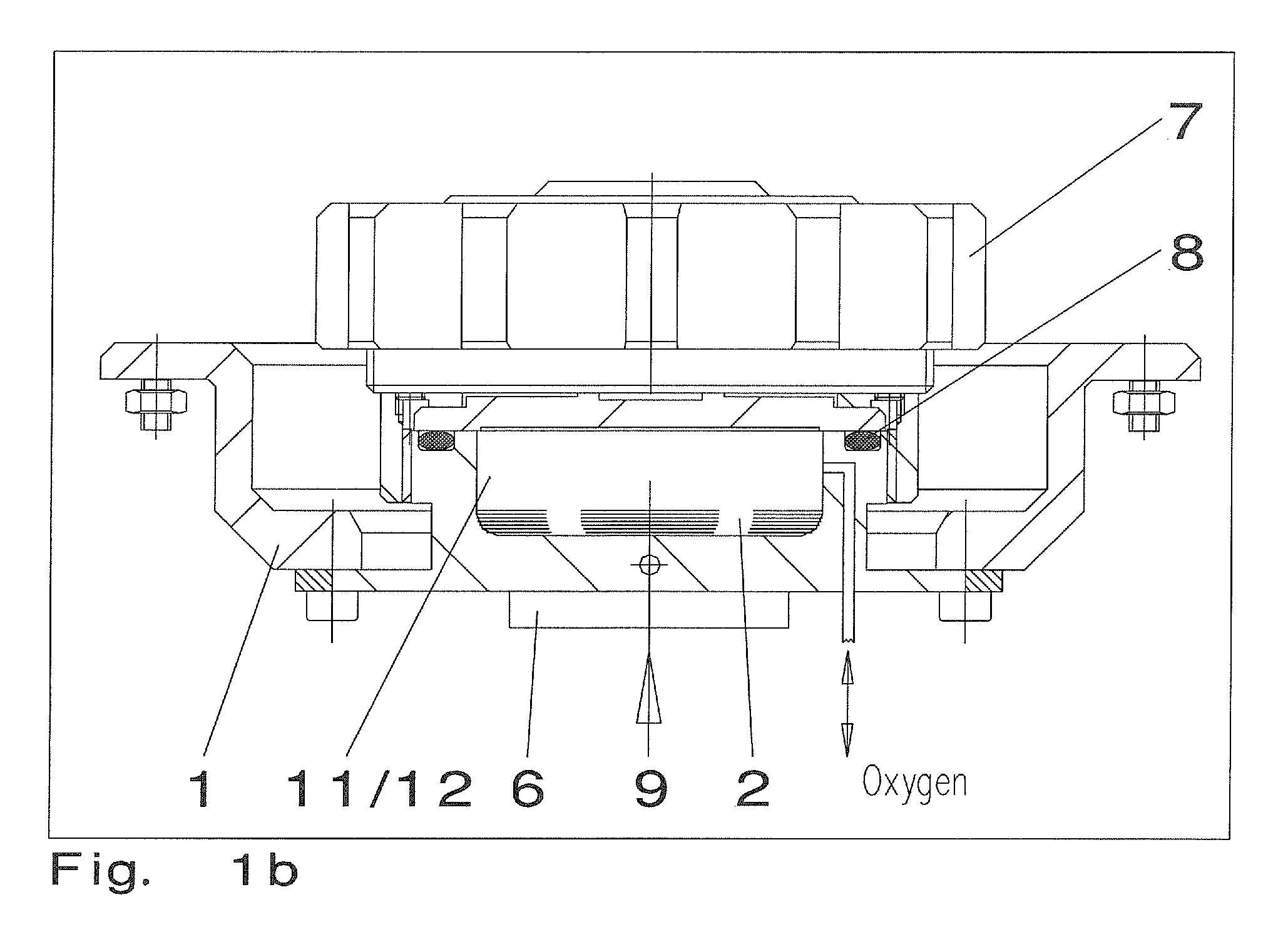 Method and device for an accelerated oxidation test of fuels or petroleum products, as well as a computer program for controlling such a device, and a corresponding computer readable storage medium