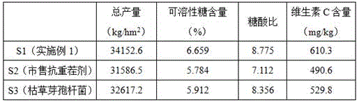 Compound biofertilizer and preparation method thereof