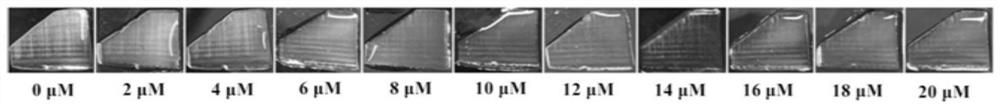 Preparation method and application of molecularly imprinted photonic crystal for detecting sulfamethoxazole