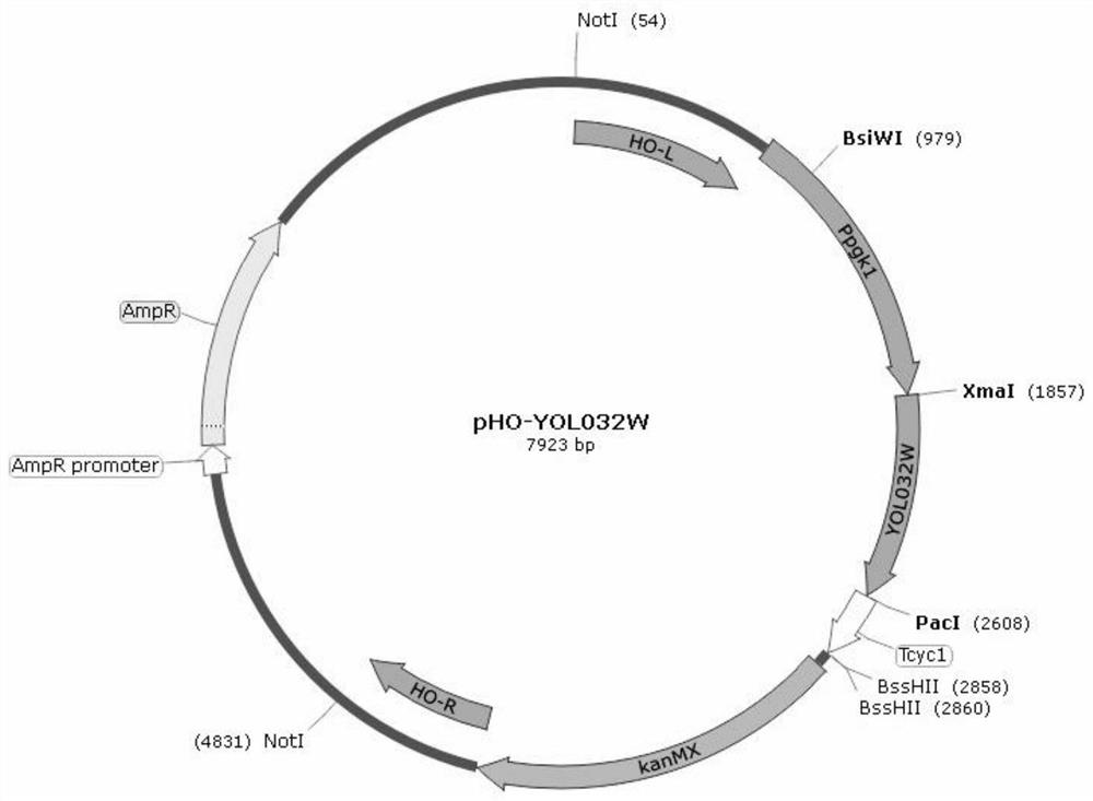 A multi-inhibitor stress-tolerant Saccharomyces cerevisiae and its preparation method and application