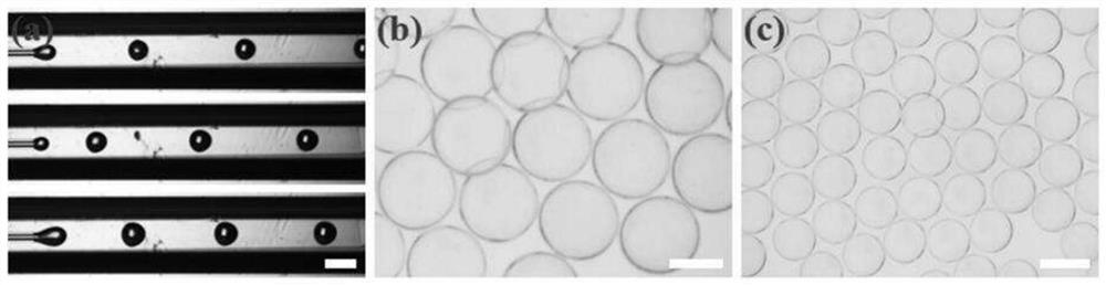 Method for large-scale culture of bionic microspheres of iPSC-derived hepatocytes and application