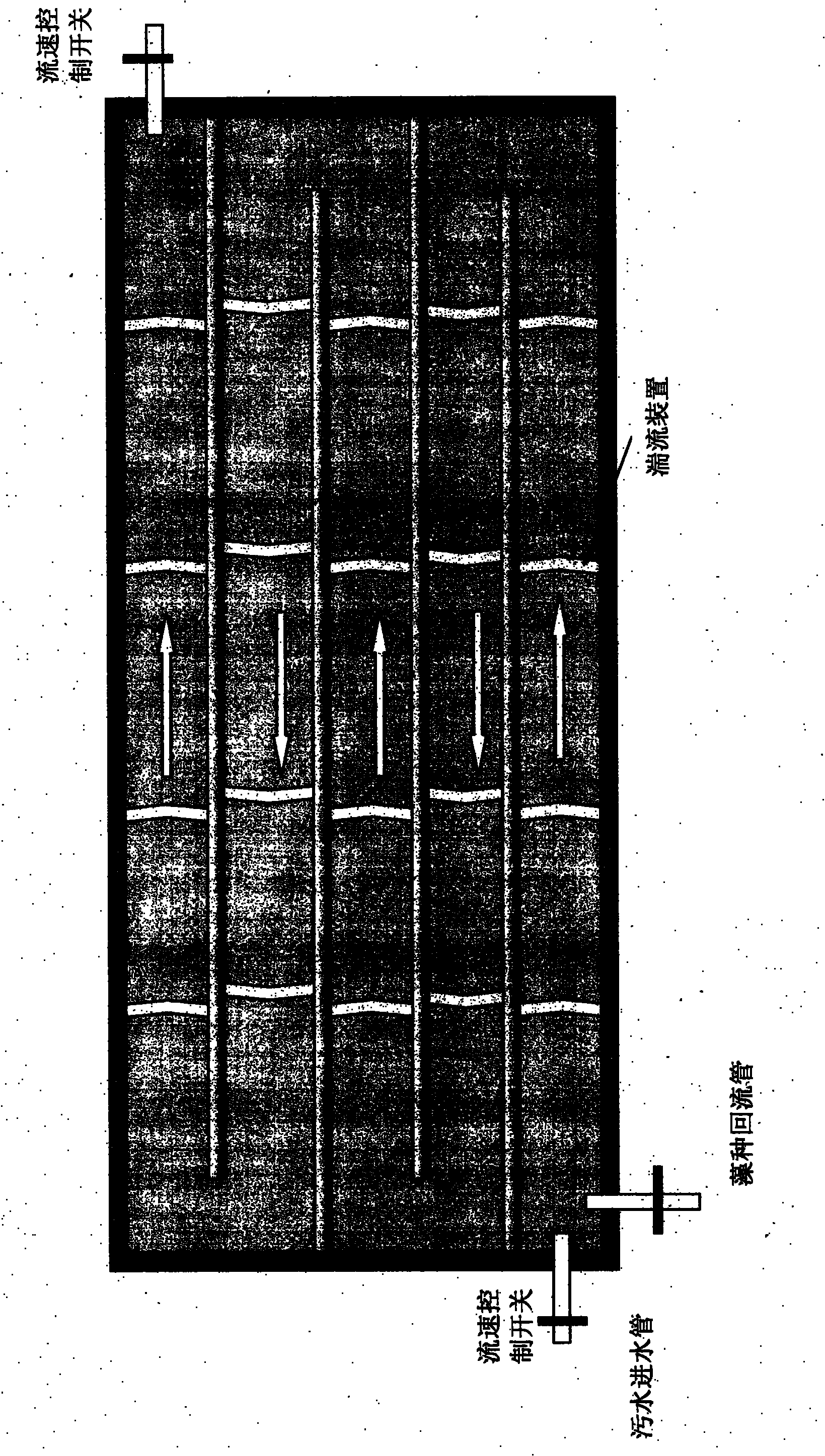 Method for treating eutrophicated water body by using microalgae