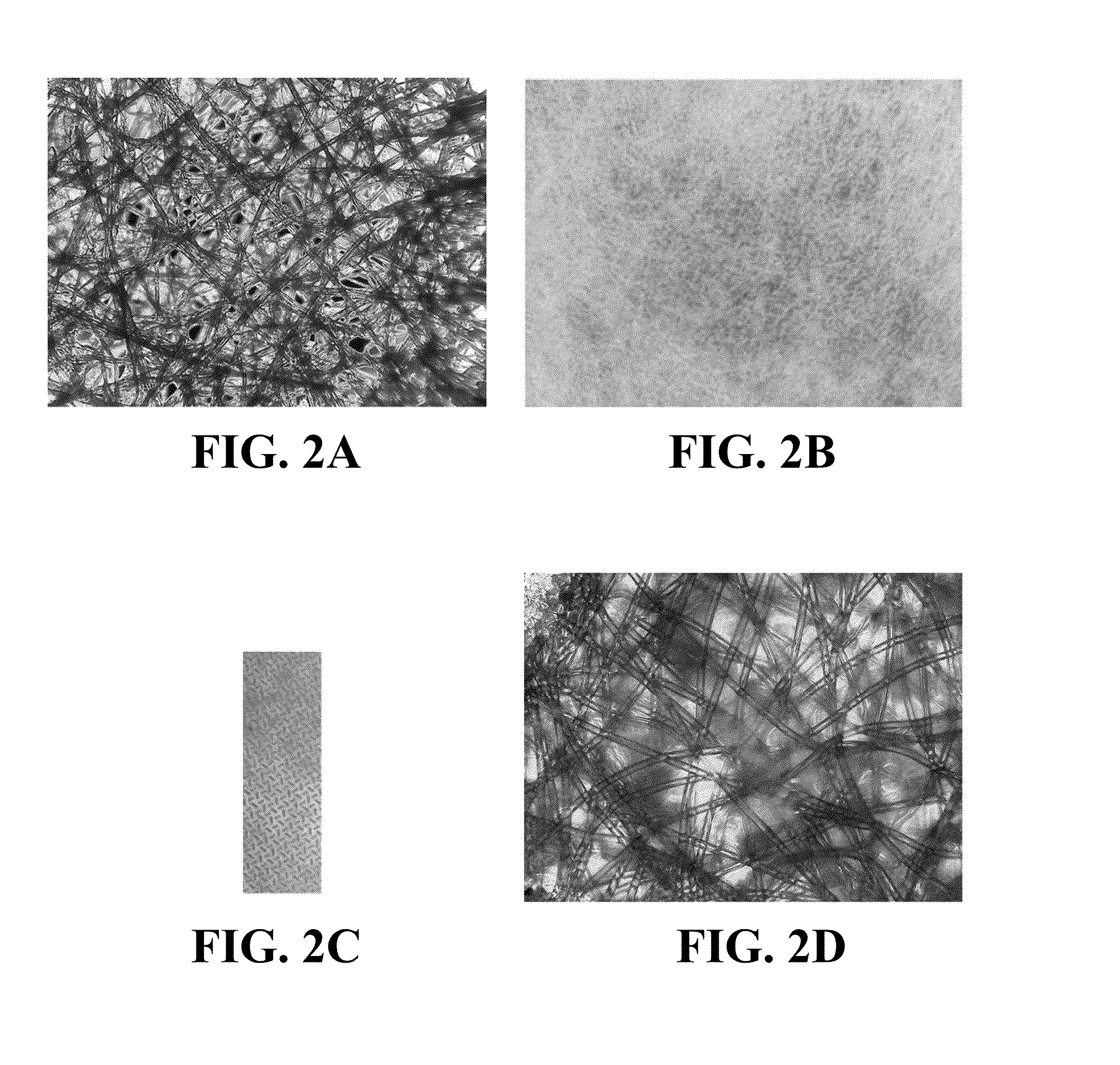 Intra-Culture Perfusion Methods and Applications Thereof