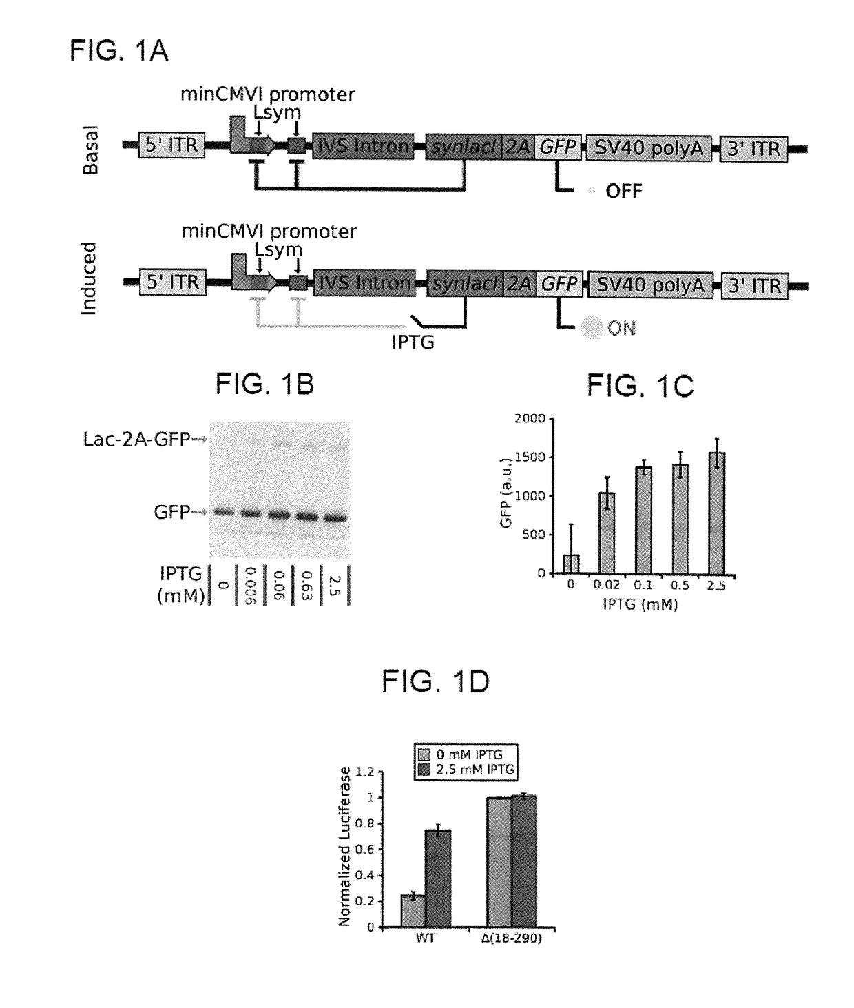 Compositions and methods for self-regulated inducible gene expression