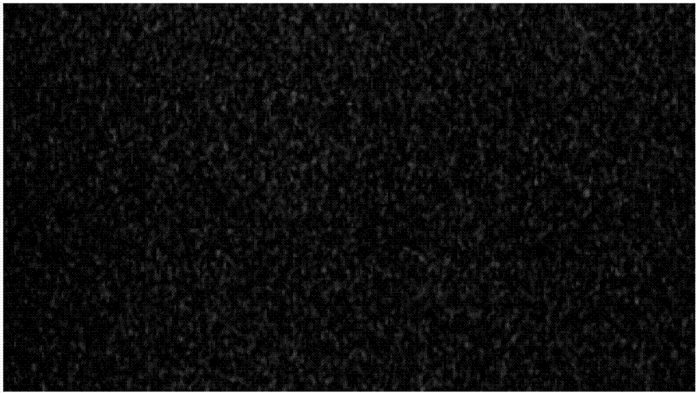 Circle drawing detection device based on wireless real-time video transmission