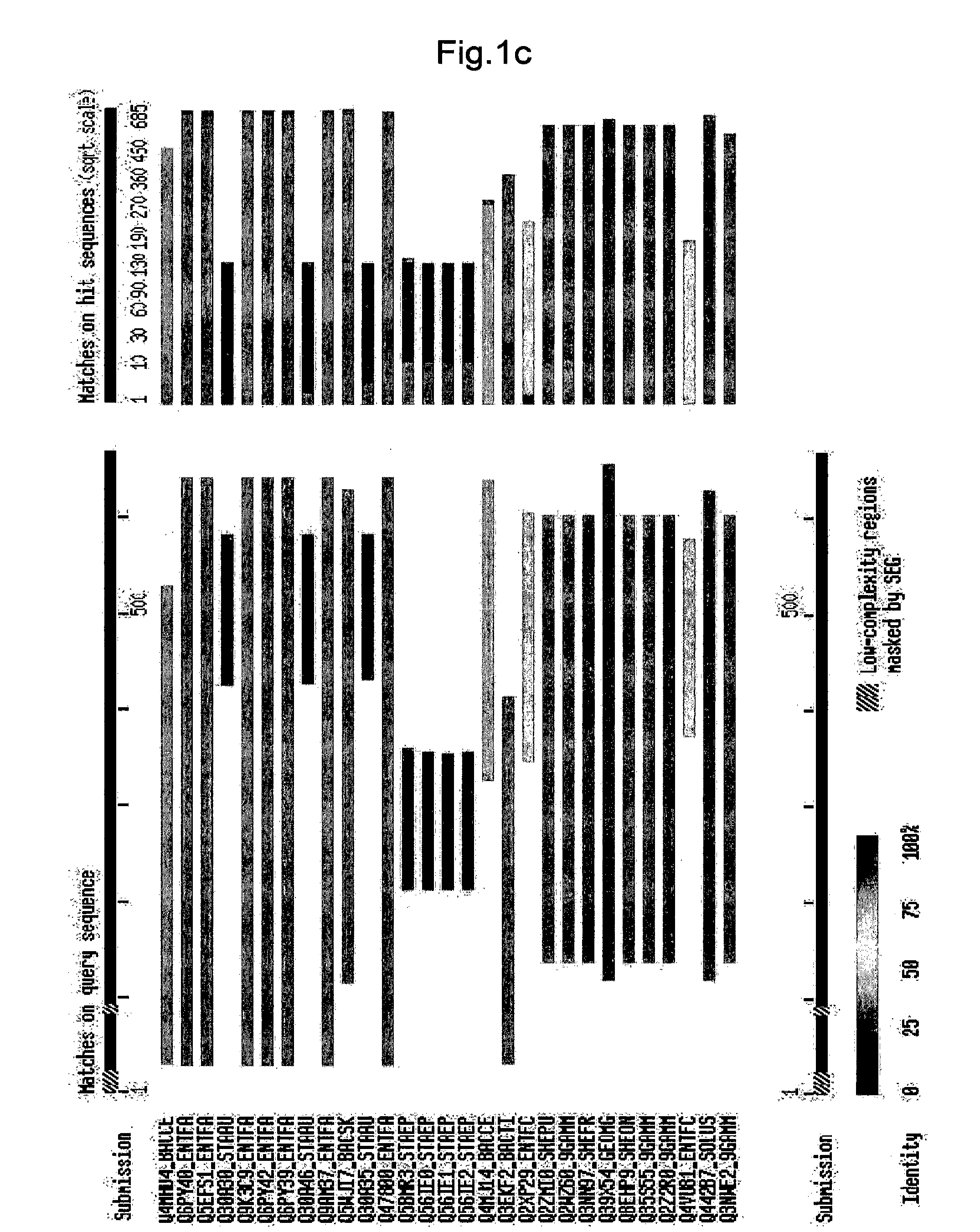 Antibody specific to methicillin resistant staphylococcus aureus, detection method and kit for methicillin resistant staphylococcus aureus using the same