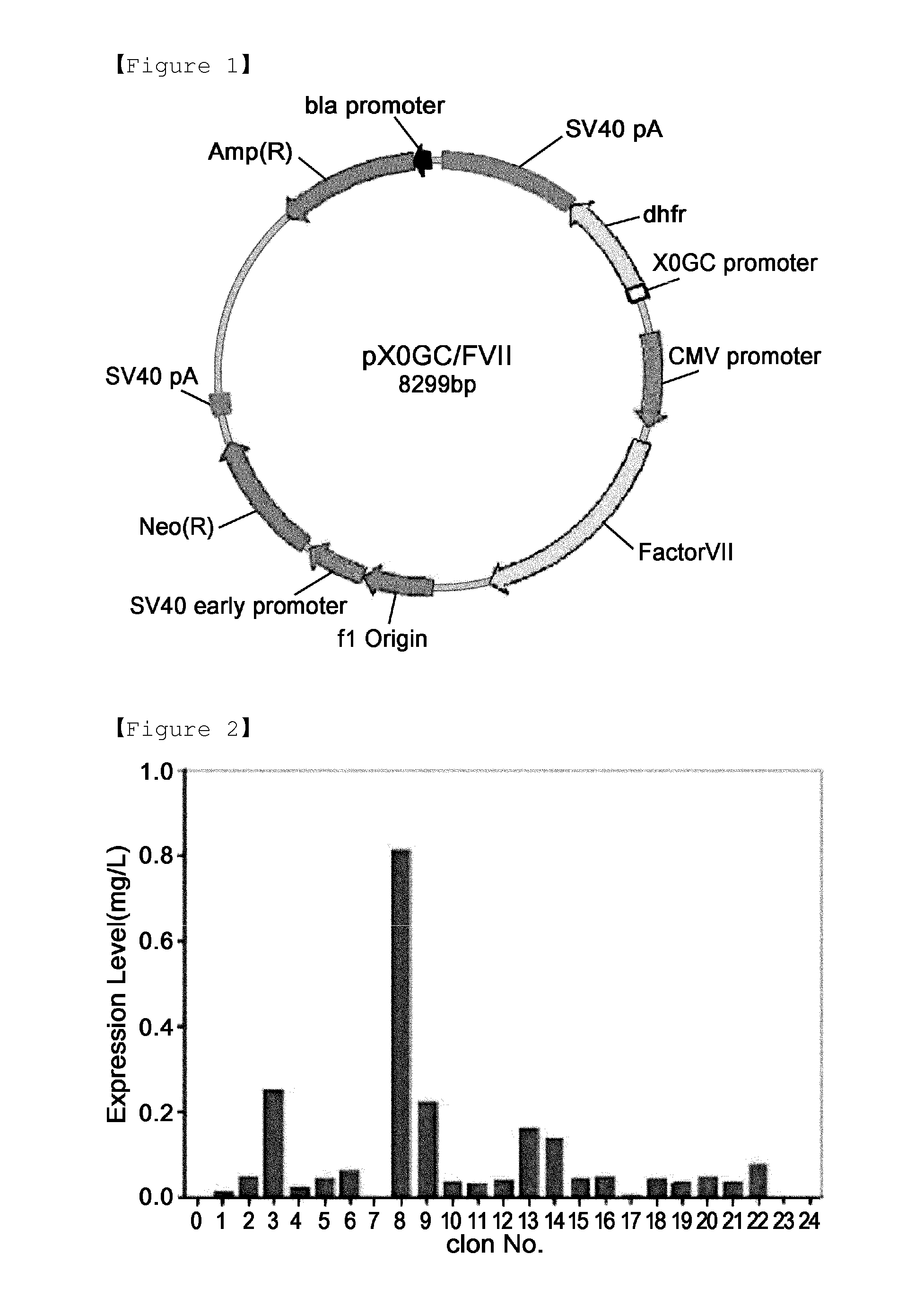 Method for mass production of factor vii/viia