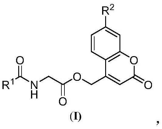 Prolyl hydroxylase small molecule photosensitive prodrug and its preparation method and application
