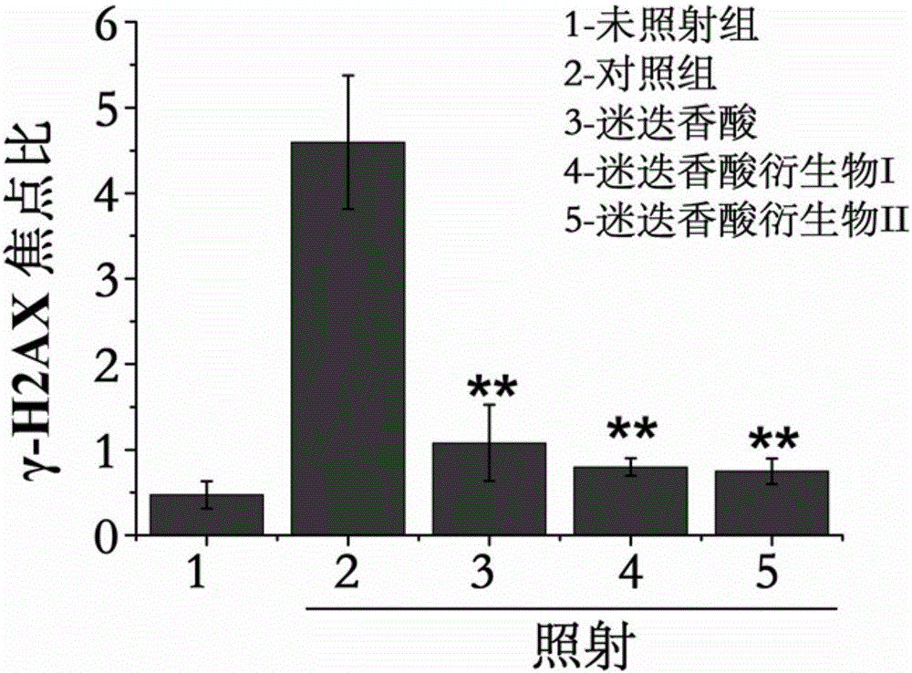 Rosmarinic acid derivative, preparation method and application