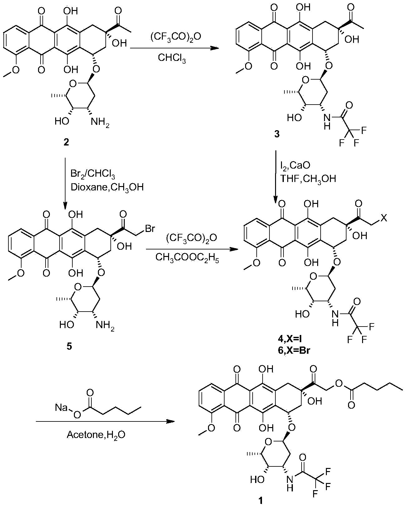 Synthesis method for valrubicin