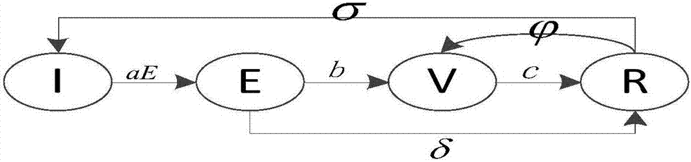 Intersection-based V2P collision avoidance method