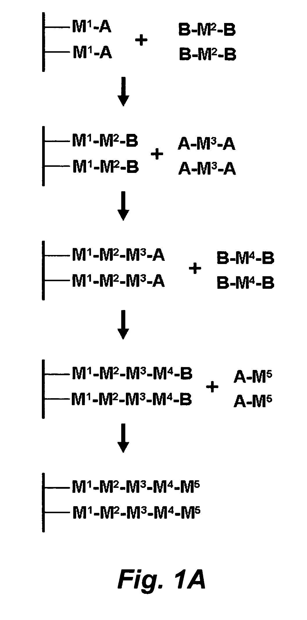 Stepwise growth of oligomeric redox-active molecules on a surface without the use of protecting groups