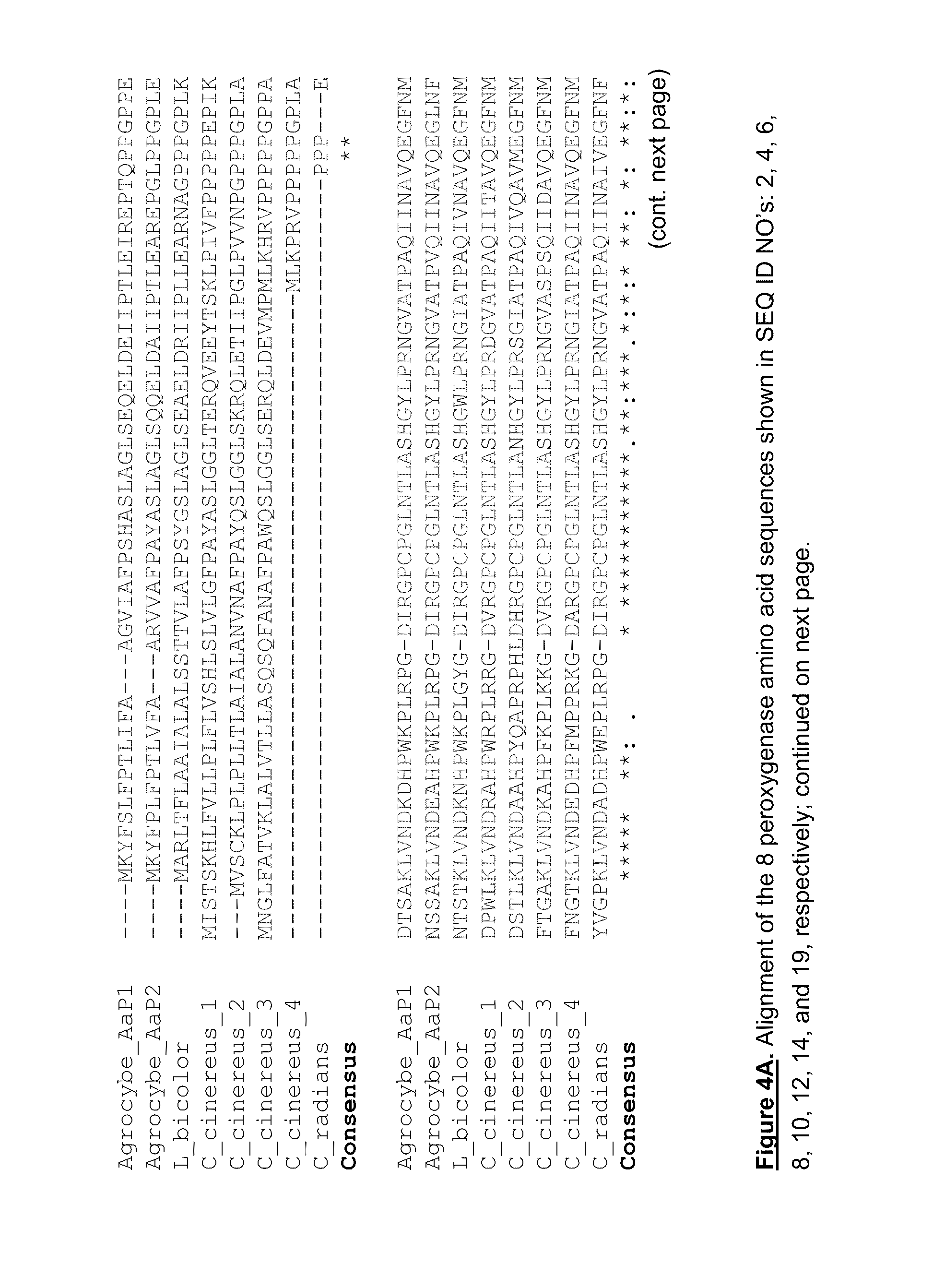 Fungal peroxygenases and methods of application
