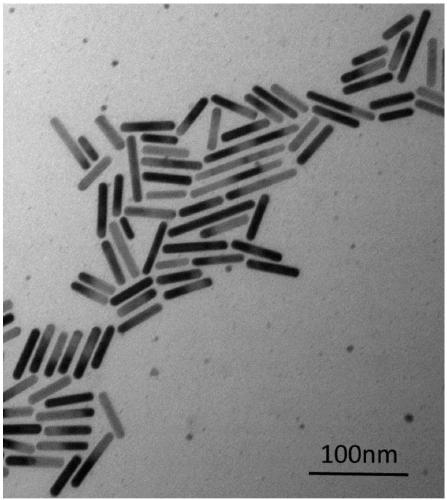 Nanoparticles, preparation method and application thereof and medicament