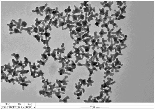 Nanoparticles, preparation method and application thereof and medicament