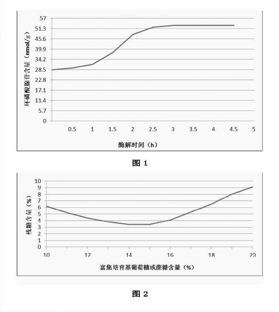 Red date nutritive wine and preparation method thereof
