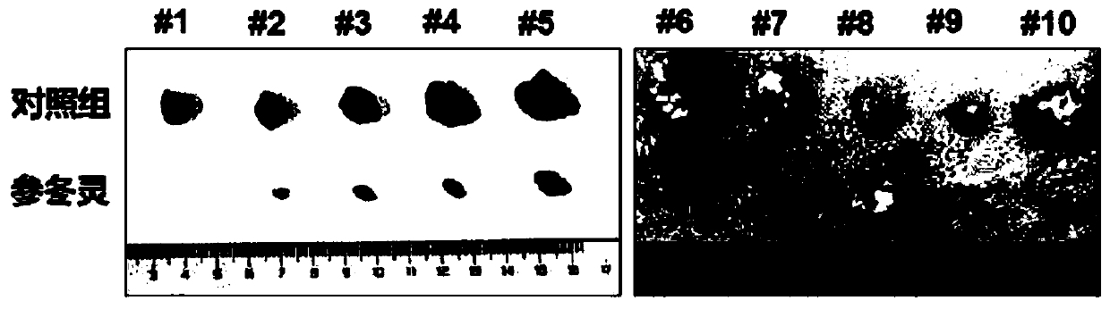 Plant monomer composition for inhibiting growth tumor cells and preparation method and application of plant monomer composition