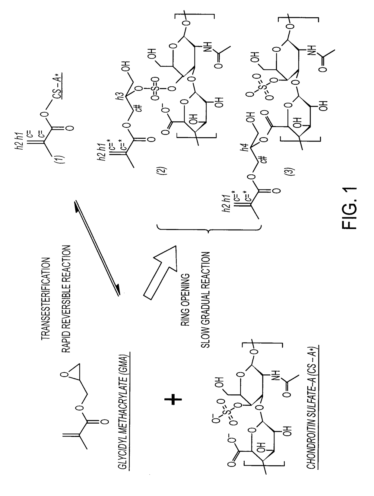 Cross-linked polymer matrices, and methods of making and using same
