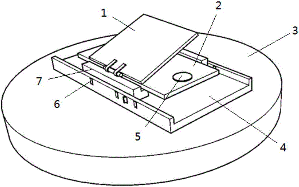 Method for detecting content of chlorophyll b in tea leaves with confocal micro-raman