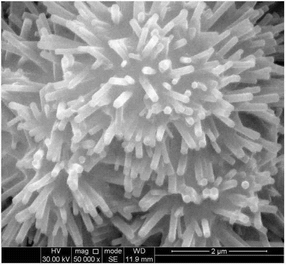 Sea urchin-like hydroxyapatite microparticles, preparation method and application thereof