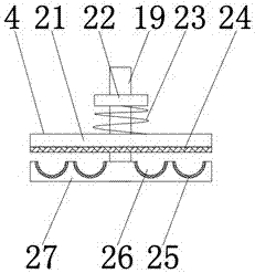 Fruit cleaning device having fixing function