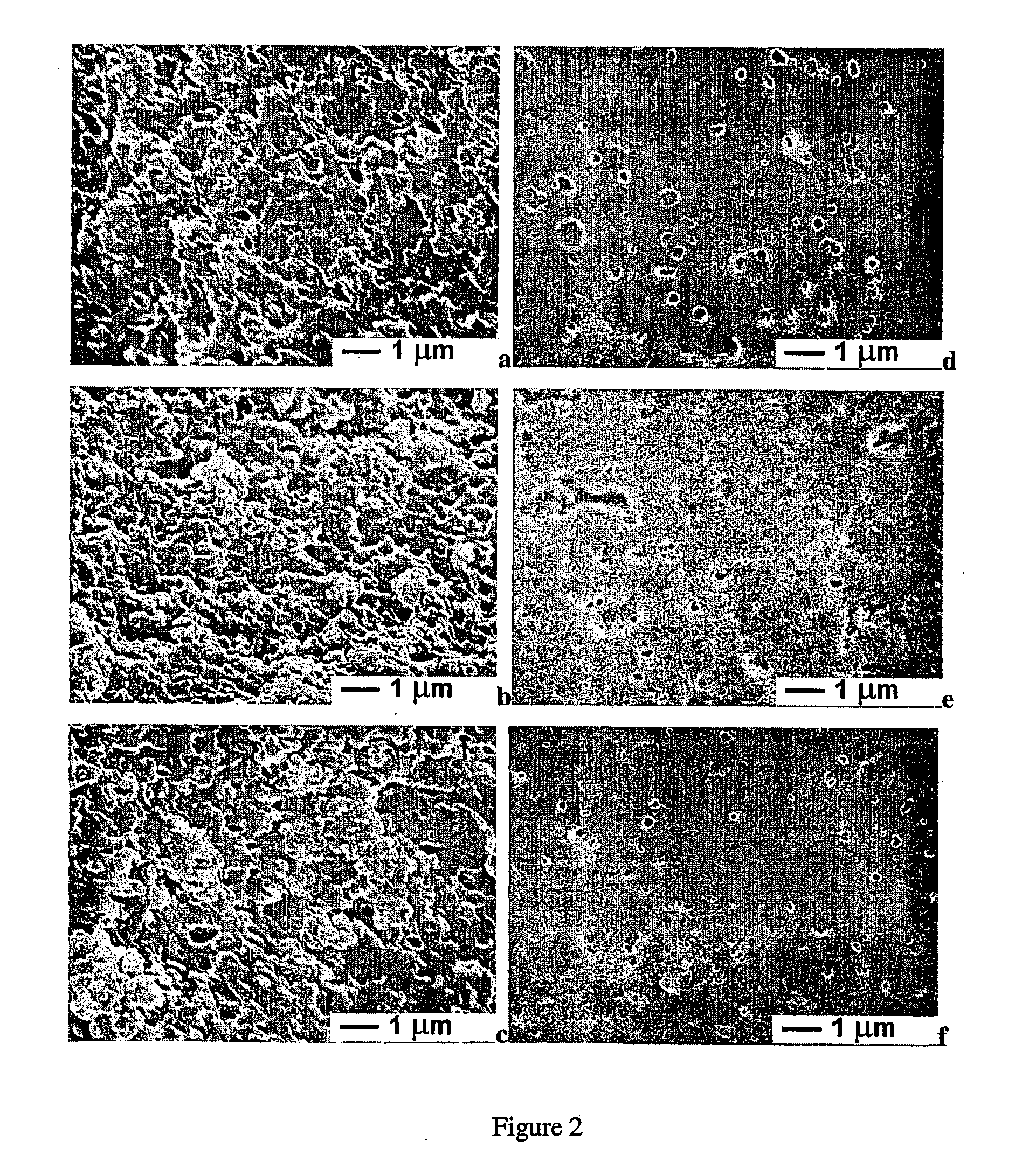 Soybean-based thermoplastic as biomaterials