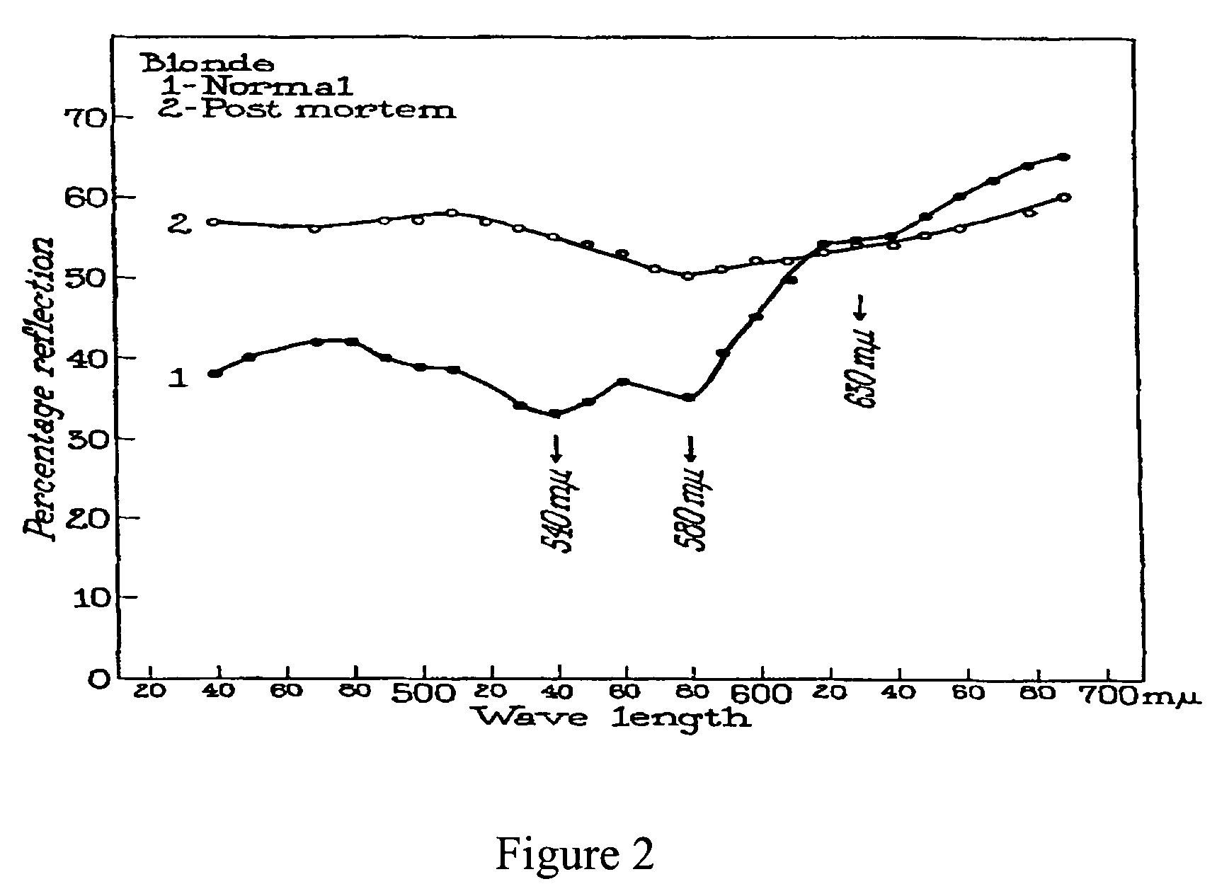 Method and apparatus for standoff detection of liveness