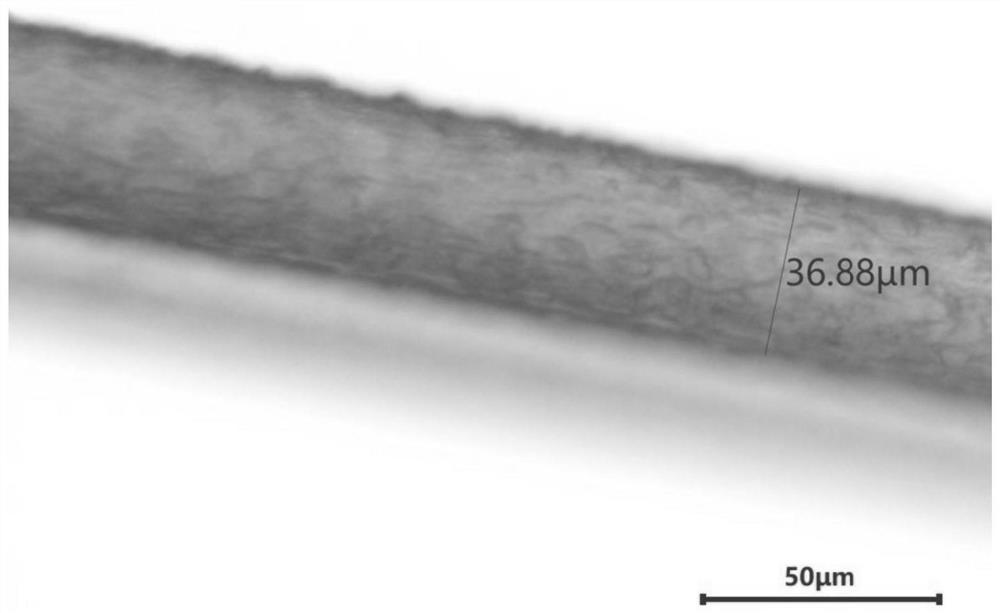 Method for preparing polytetrafluoroethylene fiber by wet spinning