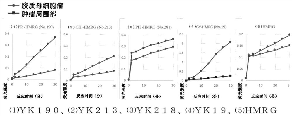 Fluorescent probe for use in detection of brain tumor