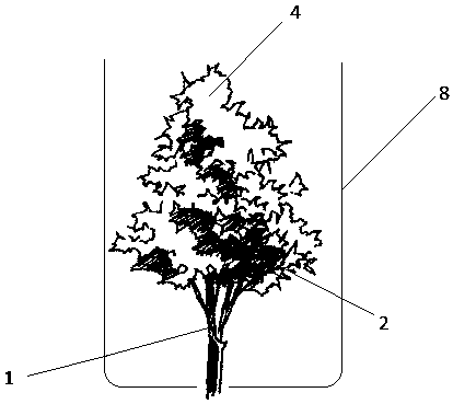 Green belt and manufacturing method thereof