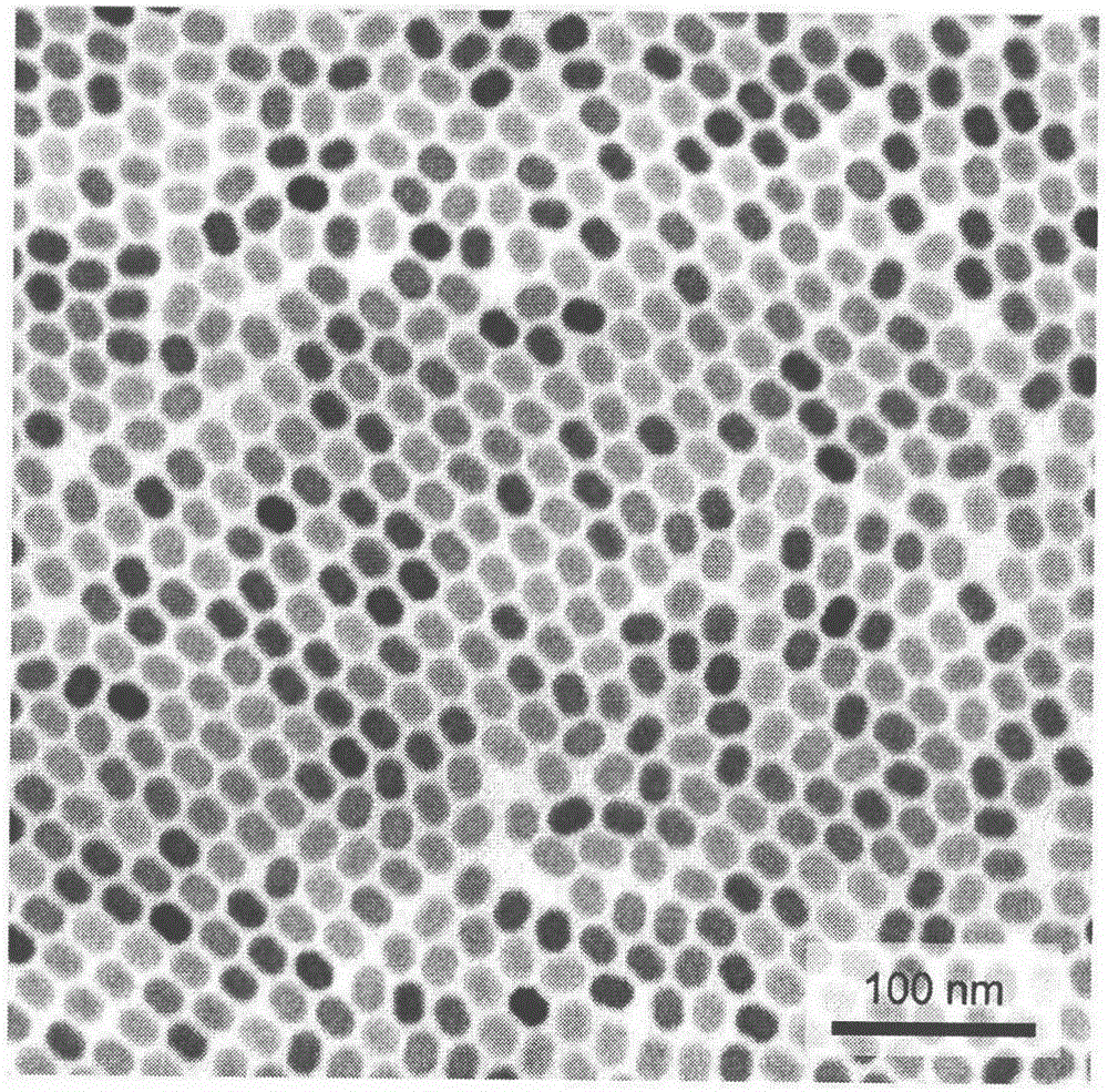 Method for preparation of composite material by embedding nanoparticles into perovskite nanowire
