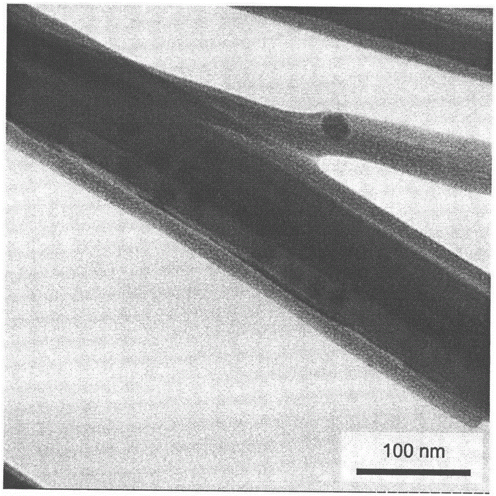 Method for preparation of composite material by embedding nanoparticles into perovskite nanowire