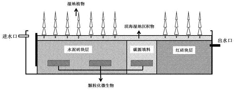 Artificial wetland system for treating marine aquaculture sewage