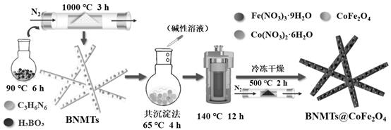 Preparation of boron nitride material anchored cobalt ferrite composite catalyst and application of boron nitride material anchored cobalt ferrite composite catalyst in catalytic degradation of oxytetracycline