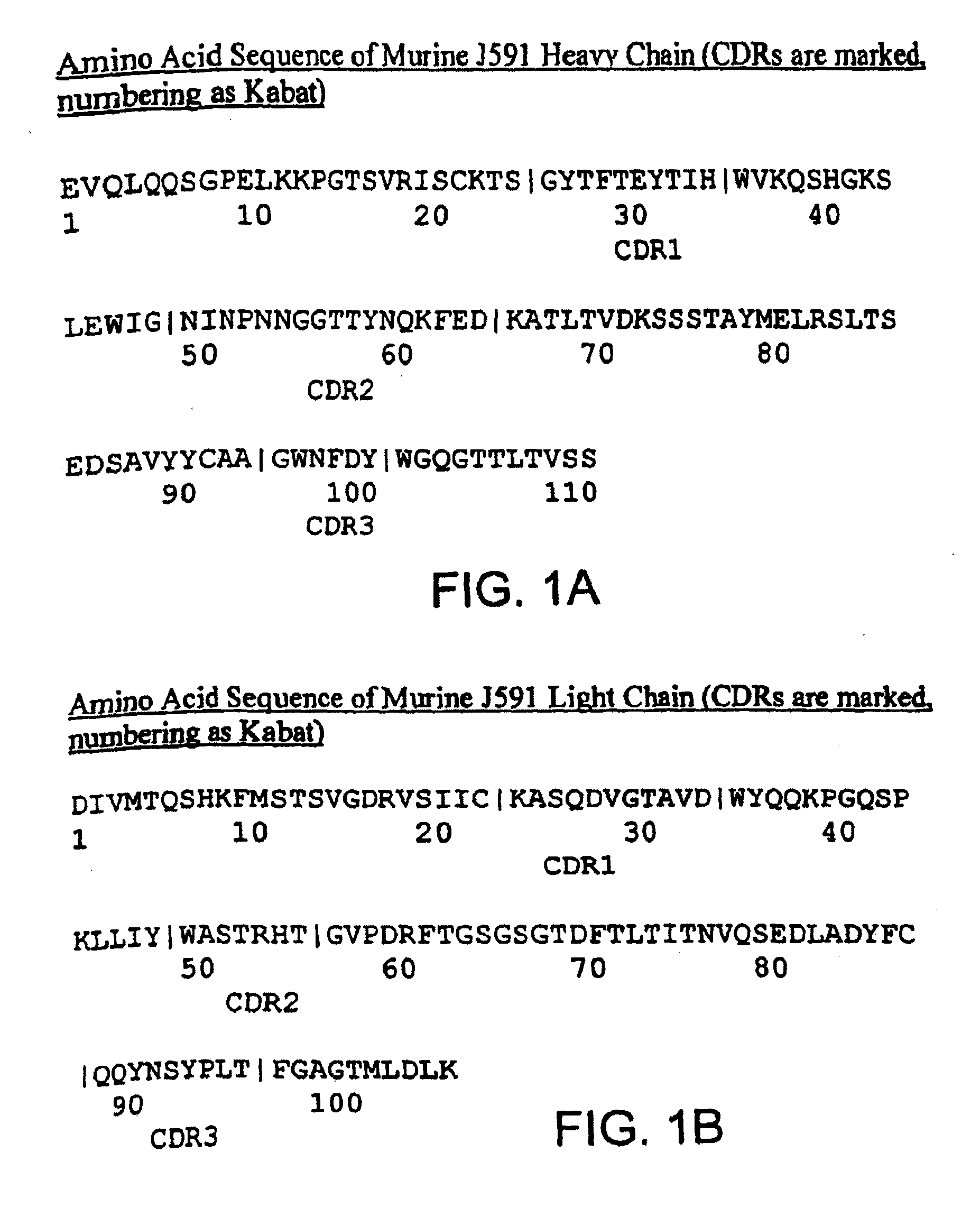 Methods of treating prostate cancer with Anti-prostate specific membrane antigen antibodies